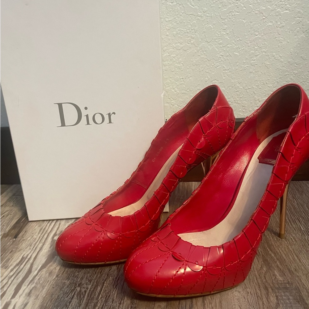 Dior Serpent Heel.